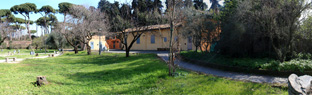 Sede Circo Massimo - Parco San Gregorio